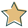 star icon