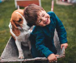 Boy and dog in wheelbarrow