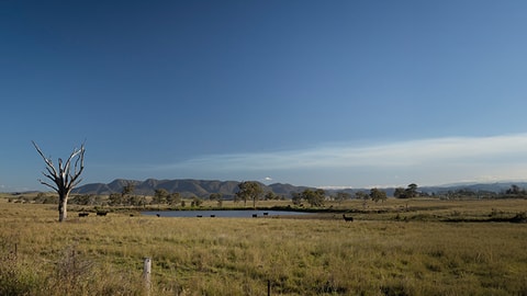 Home Loans & Personal Banking in Muswellbrook