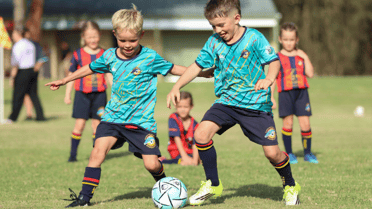 Taree Wildcats