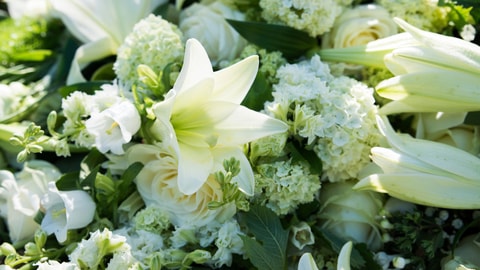 White flowers