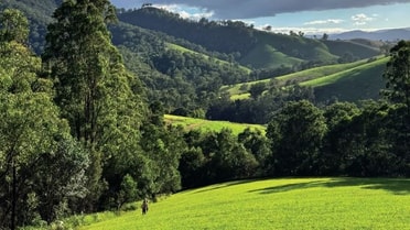 Grass field and natural scenery