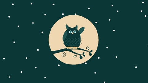 Treat yourself to a magical night out