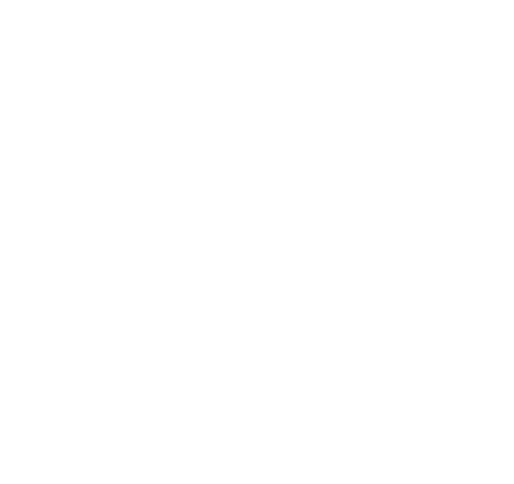 Newcastle Permanent logo