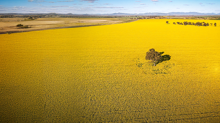Home Loans & Personal Banking in Armidale